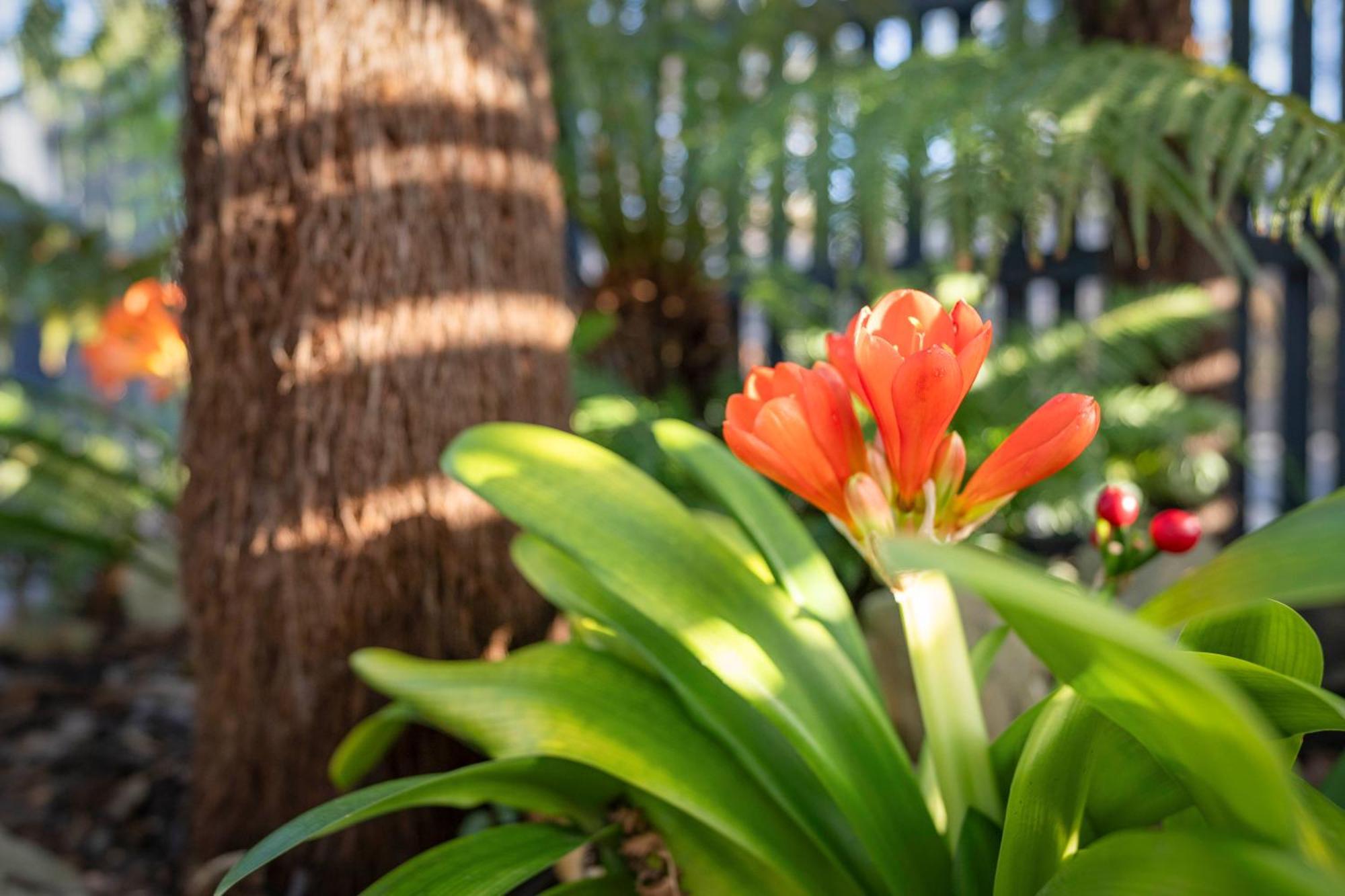 Haven - Gorgeous 2 Bedroom Townhouse Opposite The * Kingston Beach